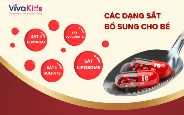 Các Dạng Sắt Bổ Sung