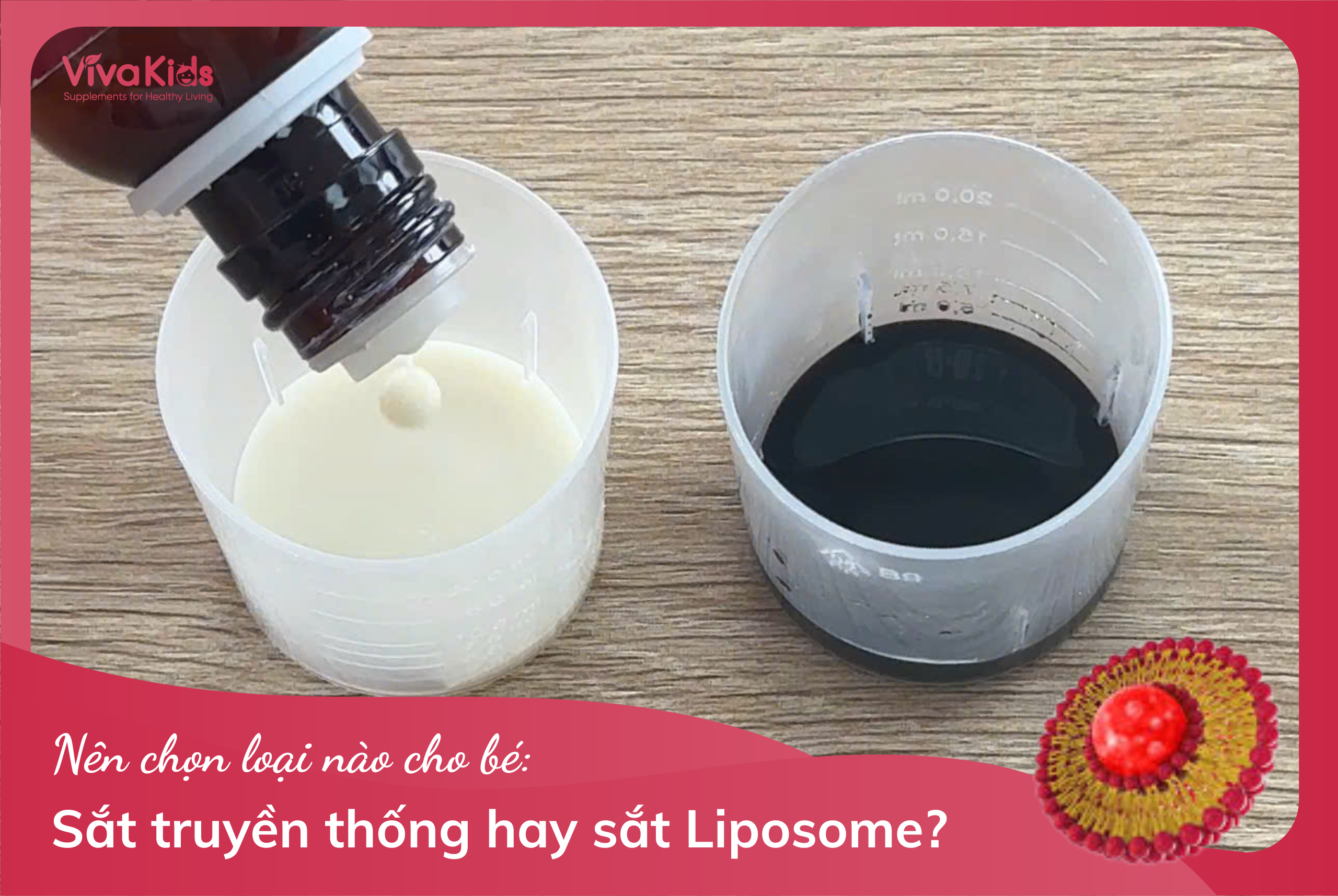 Phân biệt sắt truyền thống và sắt Liposome