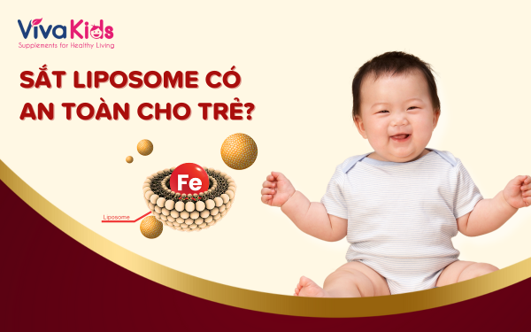 Sắt Liposome Có An Toàn