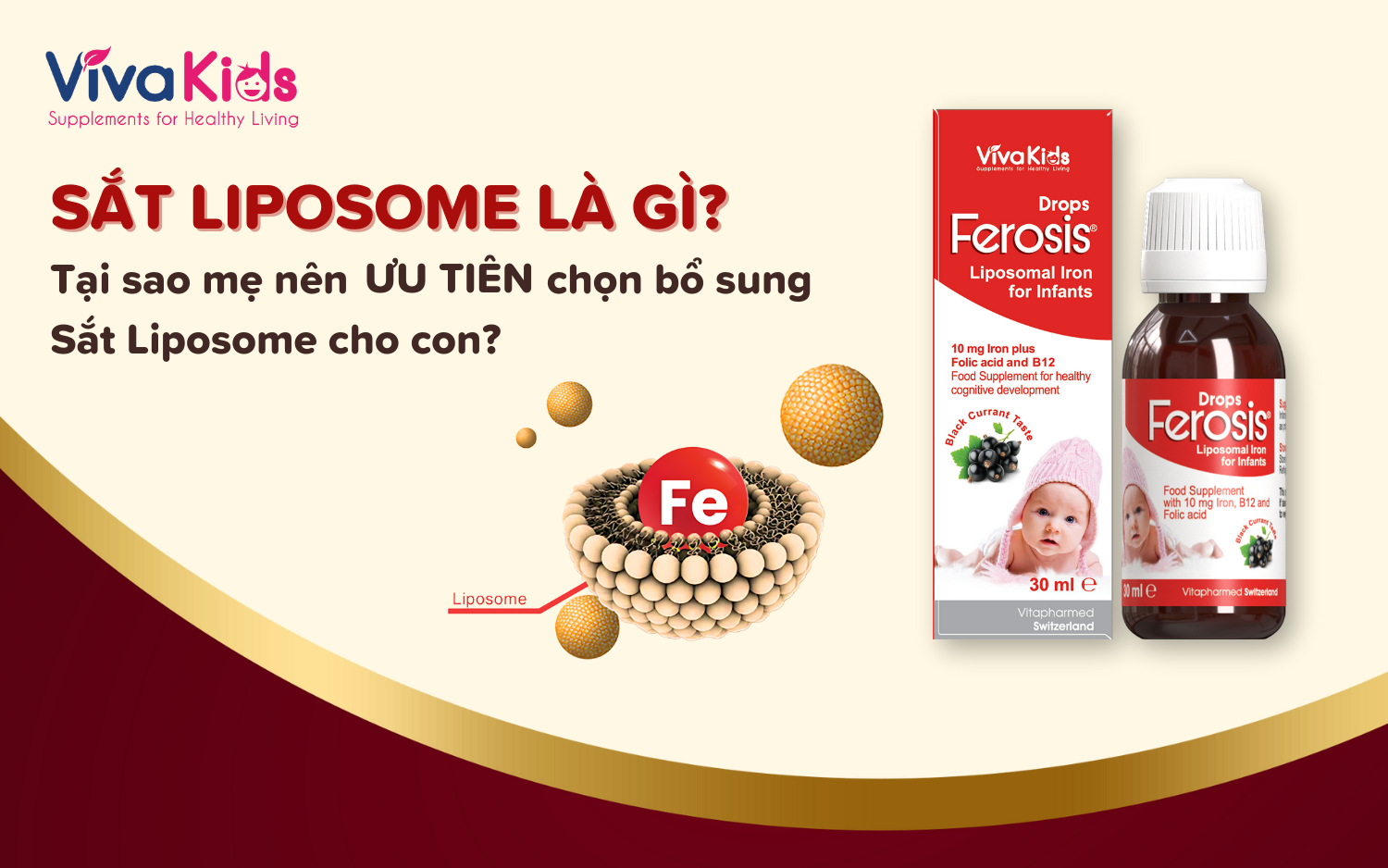 Sắt Liposome Là Gì